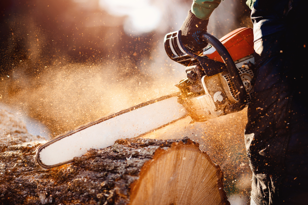 Chainsaw Maintenance Tips for Firewood Season: How to Cut Safely, Cleanly, and Efficiently