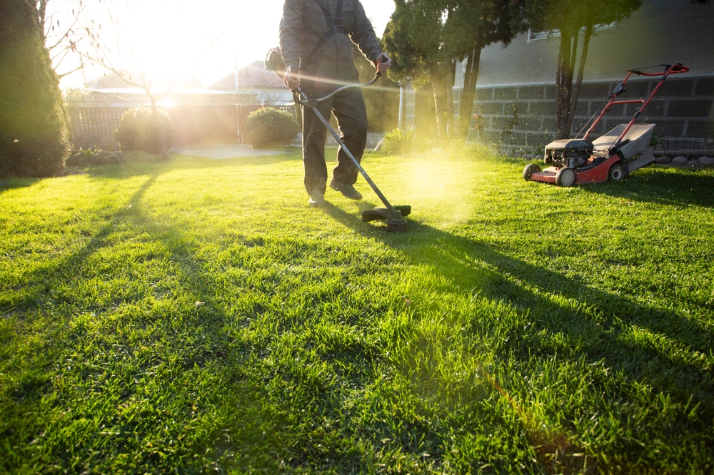 Expert Advice: How to Revitalize Your Lawn and Achieve the Perfect Spring Look