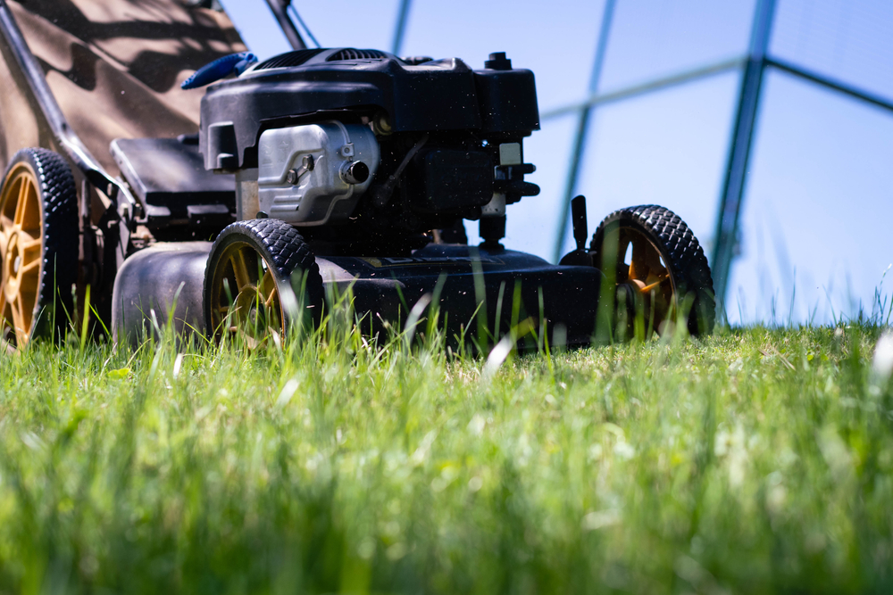 Top 10 Tips for Maintaining Your Lawn Mower and Extending Its Lifespan