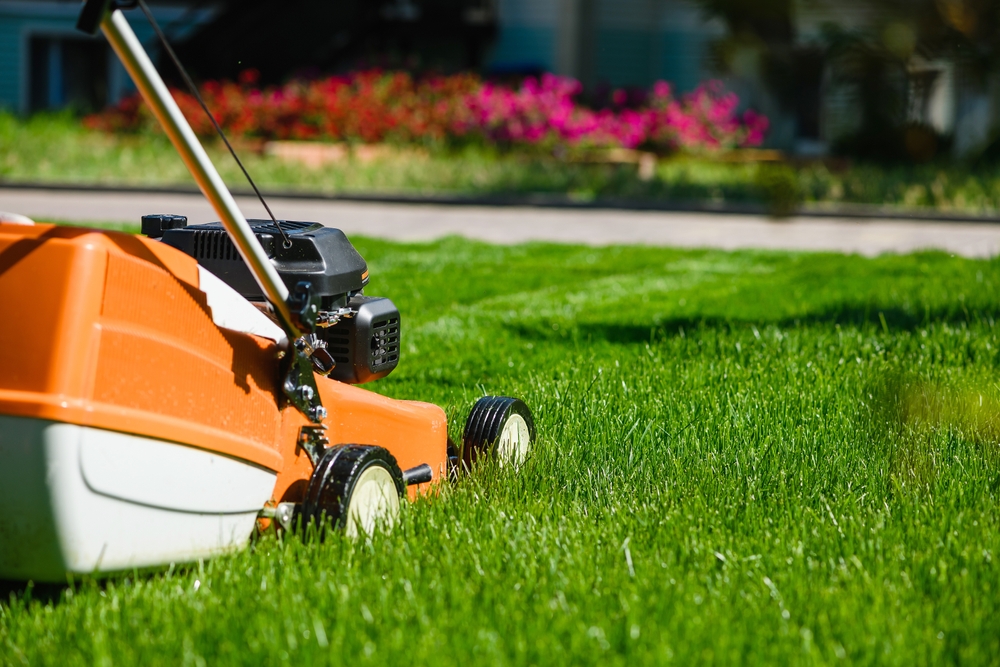 Lawn,mover,cutter,close,up,at,fresh,summer,grass,,place