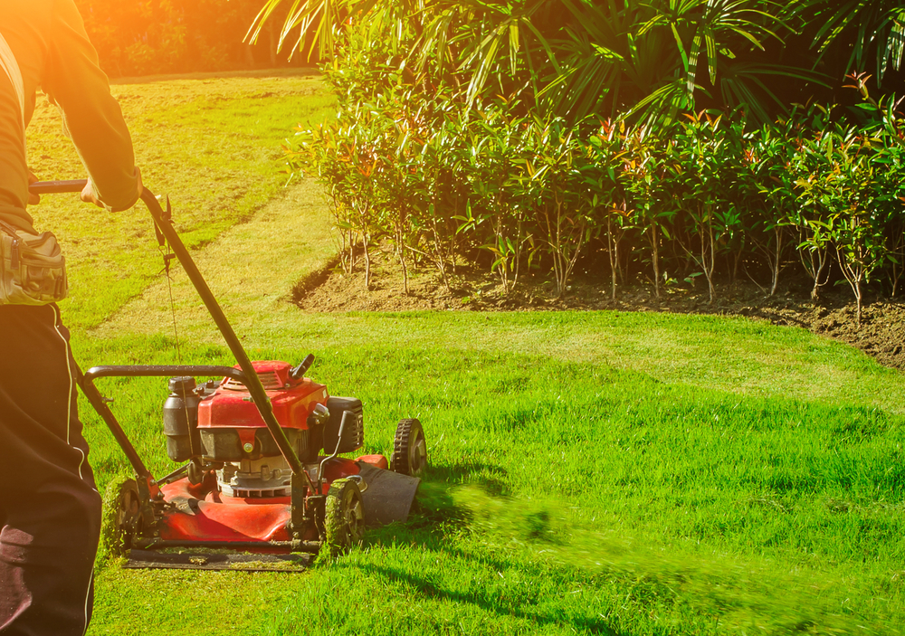 Man,using,red,lawnmower,cutting,bright,green,grass,in,football